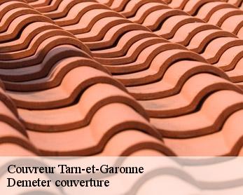 Couvreur Tarn-et-Garonne