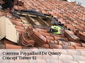 Couvreur  puygaillard-de-quercy-82800 Concept Toiture 82