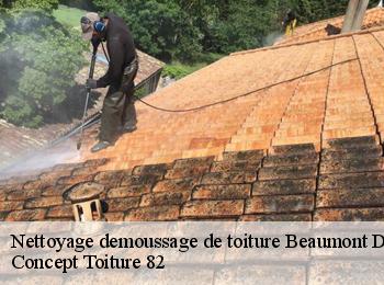 Nettoyage demoussage de toiture  beaumont-de-lomagne-82500 Concept Toiture 82