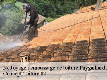 Nettoyage demoussage de toiture  puygaillard-de-quercy-82800 Concept Toiture 82