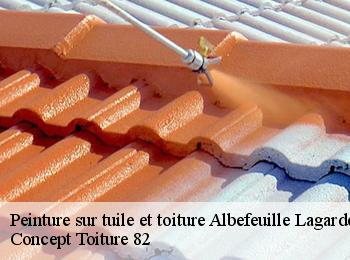 Peinture sur tuile et toiture  albefeuille-lagarde-82290 Concept Toiture 82