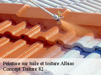 Peinture sur tuile et toiture  albias-82350 Concept Toiture 82