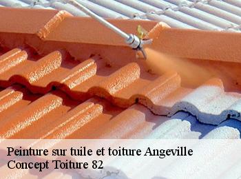 Peinture sur tuile et toiture  angeville-82210 Concept Toiture 82