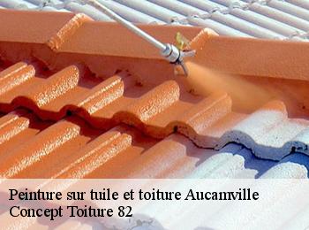 Peinture sur tuile et toiture  aucamville-82600 Concept Toiture 82