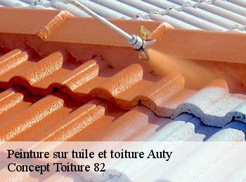 Peinture sur tuile et toiture  auty-82220 Concept Toiture 82