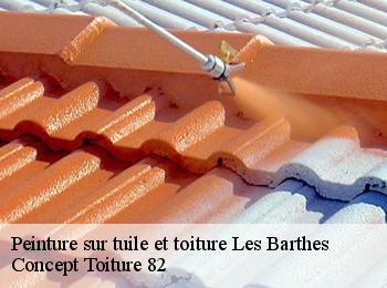 Peinture sur tuile et toiture  les-barthes-82100 Concept Toiture 82