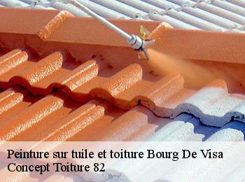 Peinture sur tuile et toiture  bourg-de-visa-82190 Concept Toiture 82