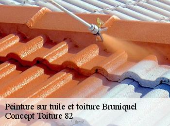 Peinture sur tuile et toiture  bruniquel-82800 Concept Toiture 82