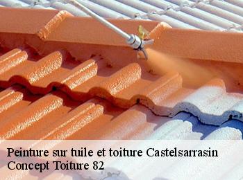 Peinture sur tuile et toiture  castelsarrasin-82100 Concept Toiture 82