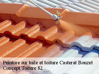 Peinture sur tuile et toiture  casterat-bouzet-82120 Concept Toiture 82