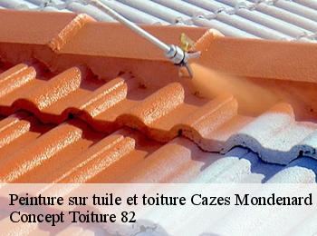 Peinture sur tuile et toiture  cazes-mondenard-82110 Concept Toiture 82