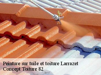 Peinture sur tuile et toiture  larrazet-82500 Concept Toiture 82