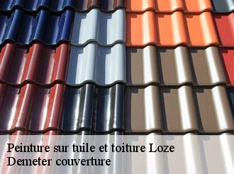 Peinture sur tuile et toiture loze-82160 Demeter couverture