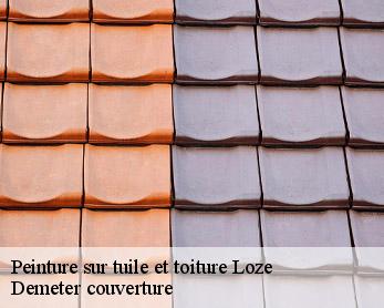 Peinture sur tuile et toiture 82160