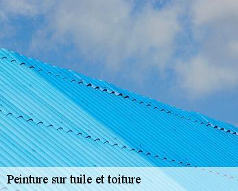 Peinture sur tuile et toiture 82160