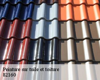 Peinture sur tuile et toiture 82160