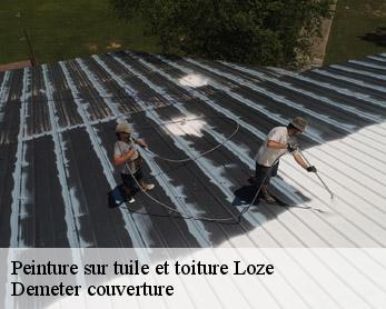 Peinture sur tuile et toiture 82160