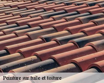 Peinture sur tuile et toiture 82160