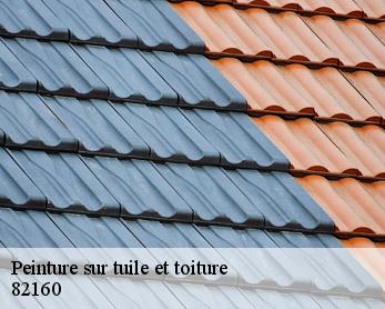 Peinture sur tuile et toiture 82160