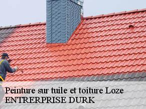 Peinture sur tuile et toiture loze-82160 ENTRERPRISE DURK