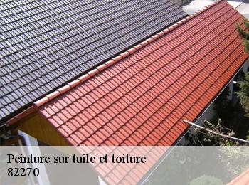 Peinture sur tuile et toiture  82270