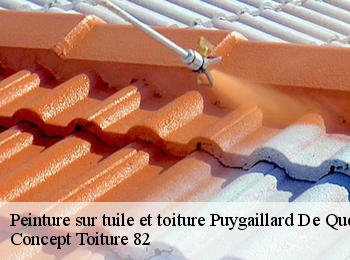 Peinture sur tuile et toiture  puygaillard-de-quercy-82800 Concept Toiture 82