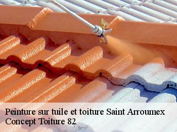 Peinture sur tuile et toiture  saint-arroumex-82210 Concept Toiture 82