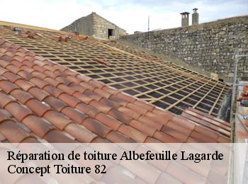 Réparation de toiture  albefeuille-lagarde-82290 Concept Toiture 82