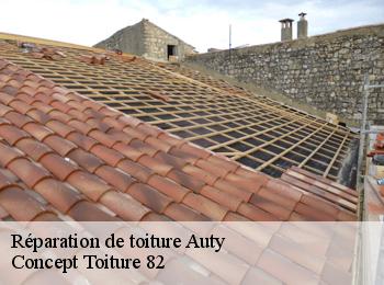 Réparation de toiture  auty-82220 Concept Toiture 82