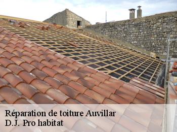 Réparation de toiture  auvillar-82340 D.J. Pro habitat