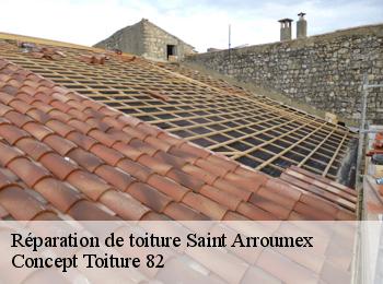 Réparation de toiture  saint-arroumex-82210 Concept Toiture 82