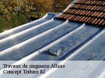 Travaux de zinguerie  albias-82350 Concept Toiture 82