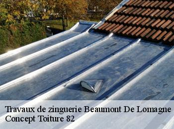 Travaux de zinguerie  beaumont-de-lomagne-82500 Concept Toiture 82