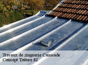 Travaux de zinguerie  caussade-82300 Concept Toiture 82