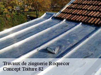 Travaux de zinguerie  roquecor-82150 Concept Toiture 82