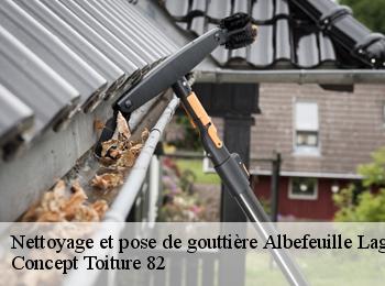 Nettoyage et pose de gouttière  albefeuille-lagarde-82290 Concept Toiture 82