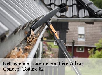 Nettoyage et pose de gouttière  albias-82350 Concept Toiture 82