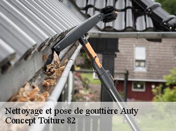 Nettoyage et pose de gouttière  auty-82220 Concept Toiture 82