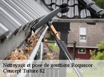 Nettoyage et pose de gouttière  roquecor-82150 Concept Toiture 82