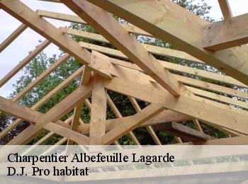 Charpentier  albefeuille-lagarde-82290 D.J. Pro habitat