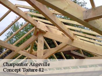 Charpentier  angeville-82210 Concept Toiture 82