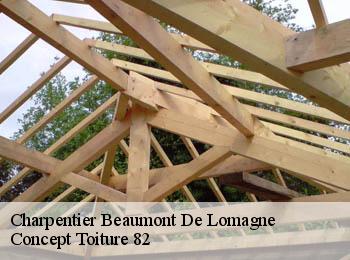 Charpentier  beaumont-de-lomagne-82500 Concept Toiture 82