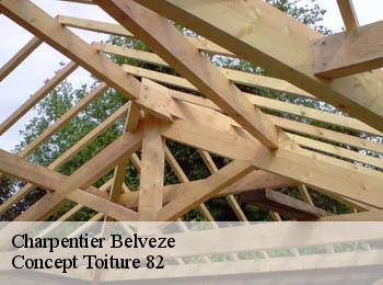 Charpentier  belveze-82150 Concept Toiture 82