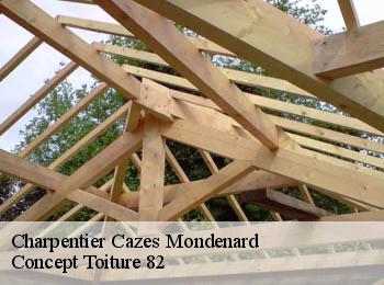 Charpentier  cazes-mondenard-82110 Concept Toiture 82