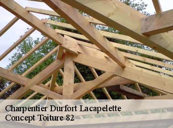 Charpentier  durfort-lacapelette-82390 Concept Toiture 82