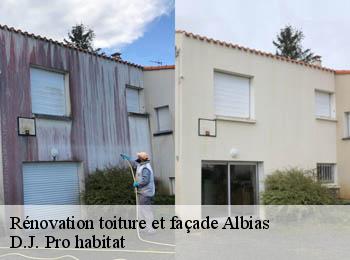 Rénovation toiture et façade  albias-82350 D.J. Pro habitat