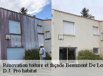 Rénovation toiture et façade  beaumont-de-lomagne-82500 D.J. Pro habitat